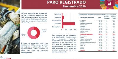 PARO REGISTRADO Noviembre 2020